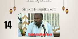 Siiradii Rasuulka scw 14